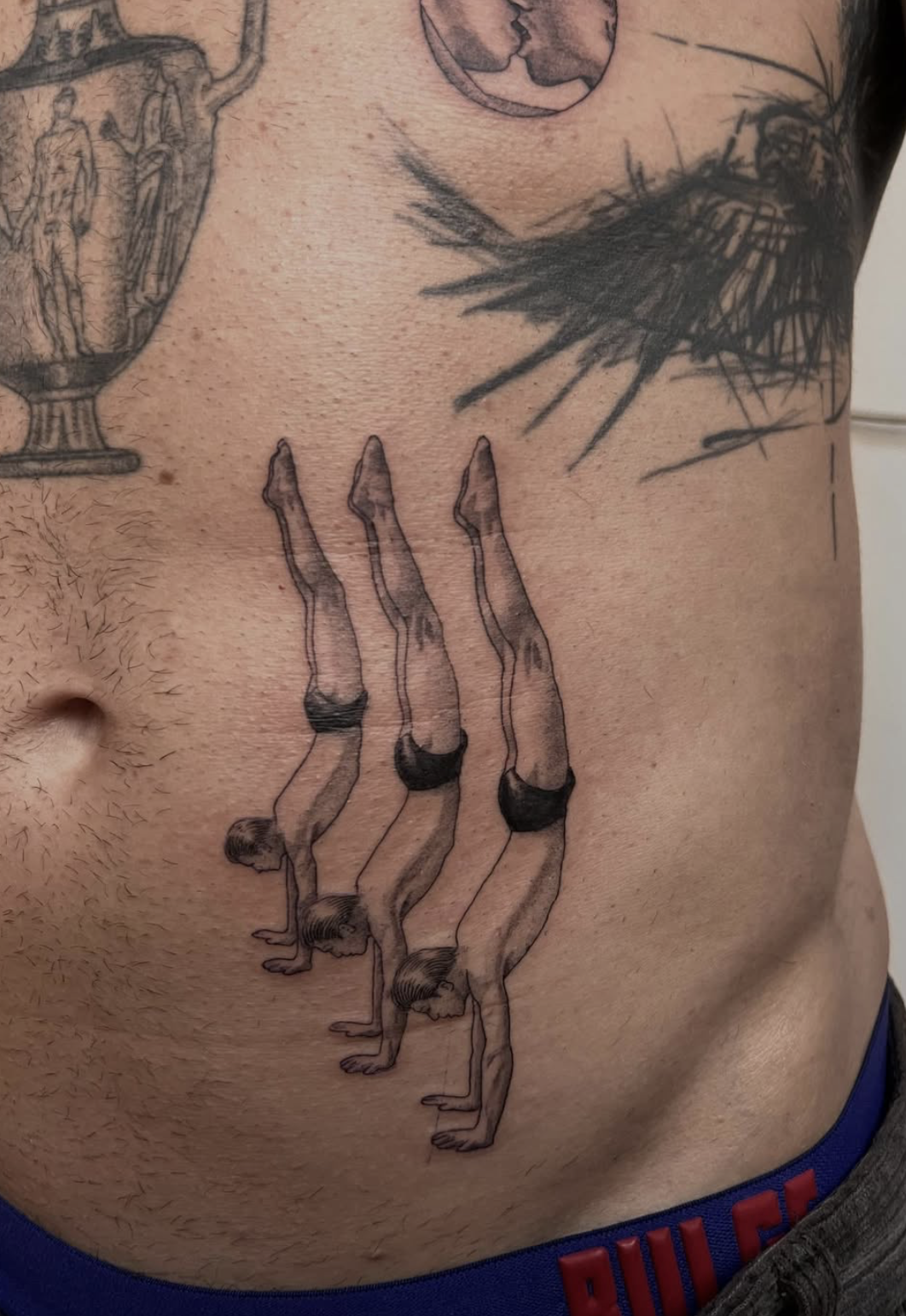 Granátové jablko, fíky, botanická rytina — záda